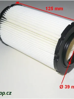 Wochenendangebot Vzduchový filtr Briggs Stratton - (OEM 796031, 590825)