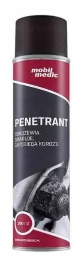 Günstig ODSTRAŇOVAČ HNISU 300ml