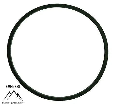 TĚSNĚNÍ BRIGGS&STRATTON 281165S EVEREST Begrenztes Angebot