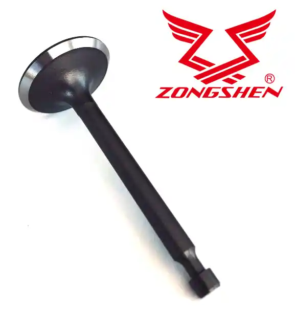 Bestseller Sací ventil ZONGSHEN XP200